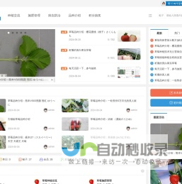 给力草莓网-草莓品种介绍及种植管理 -  Powered by Discuz!